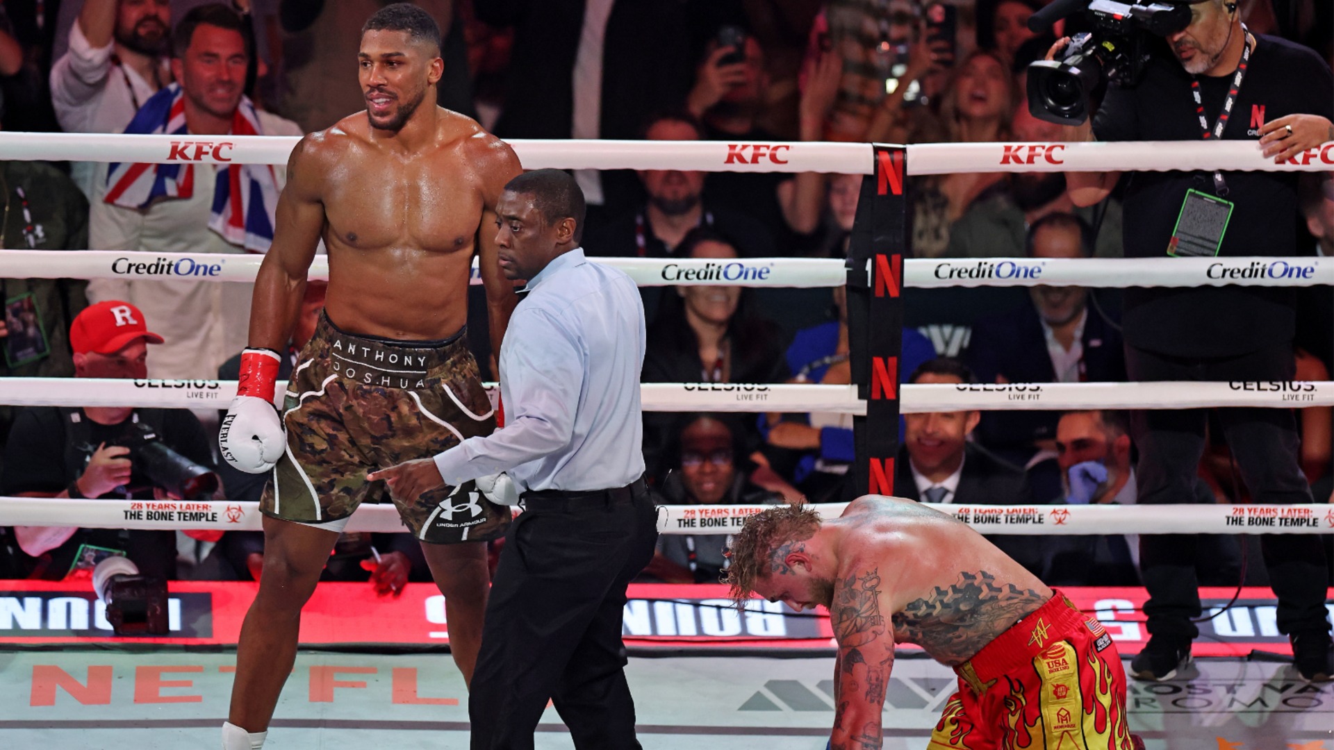 Why Hardcore MMA Fans Rely on UFC Streams for Live Events